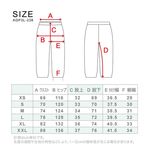 ASHGREEM (アッシュグリーム) 【予約商品】 25-26 スノーボードウェア 上下セット 3レイヤ フルシーム グラデーション ジャケット AG-42SET 耐水圧30000mm スノーウェア スノボウェア スキーウェア スノボーウェア 上下2点セット セットアップ パンツ メンズ レディース 新作